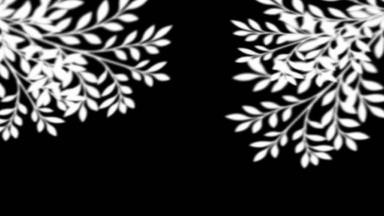 Two soft, white silhouettes of leaves sway gently in opposite corners on a black background, creating a minimal and natural frame overlay