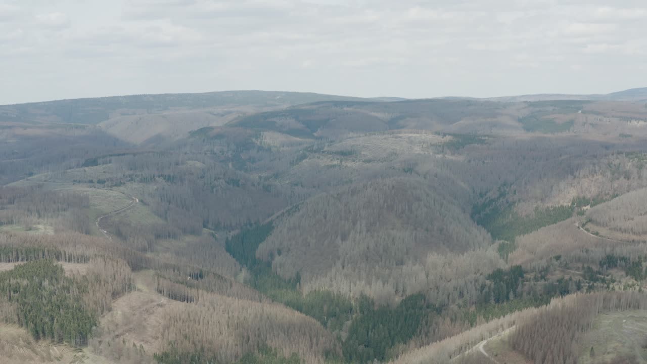 vistas aéreas de drones del parque nacional de harz en alemania central