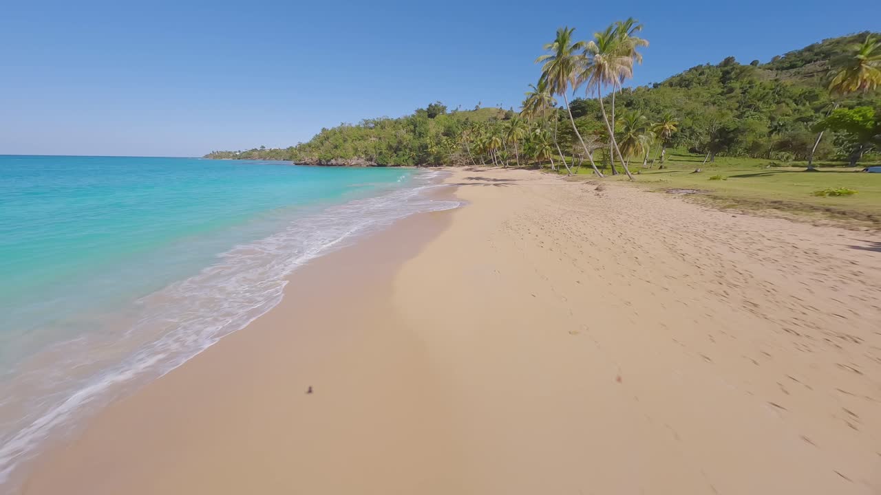 sobrevuelo aéreo playa de arena con mar del caribe y palmeras tropicales en un día soleado