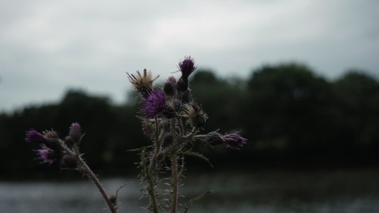 fotografías de productos de un lago