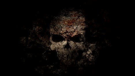 cryptic decaying spot lit skull background loop