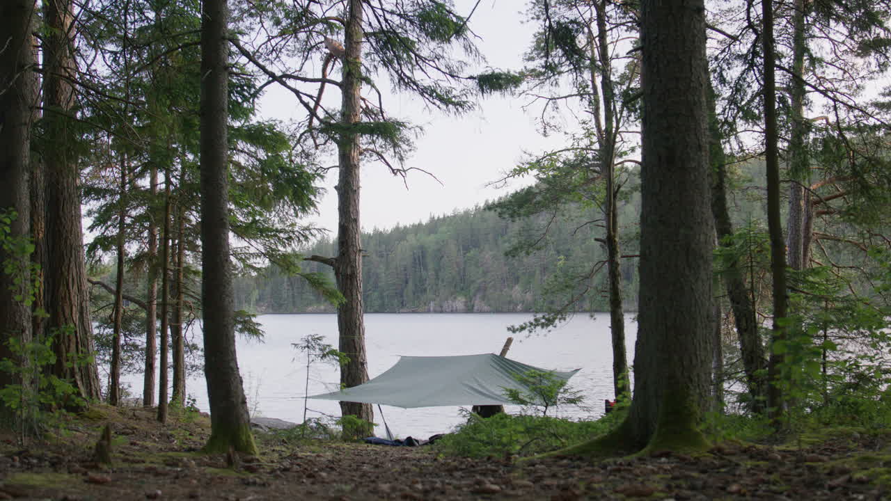 Forest campsite by lakeshore with camper adjusting gear under green tarp, surrounded by tall pine trees and gentle breeze rippling the fabric