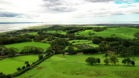 Aerial-rising-shot-over-the-green-coastal-countryside-showing-farmland,-bright-sunny-day