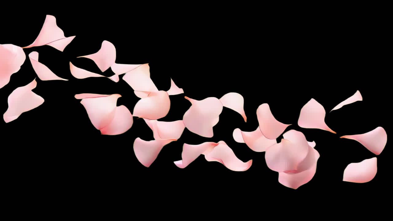 Pink flowers animated overlay, transparent 4K video, alpha channel, ProRes 4444