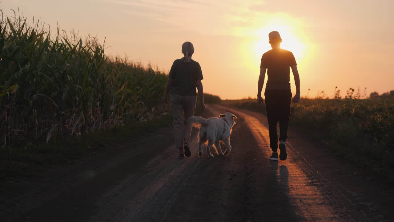 Couple Walking with Dog on Country Road at Sunset