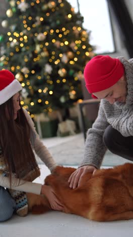 family spending christmas with their dog