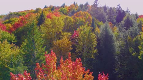 El-Follaje-De-Otoño-Que-Se-Aproxima-Junto-Al-Lago,-Cerca-De-Montreal,-Canadá