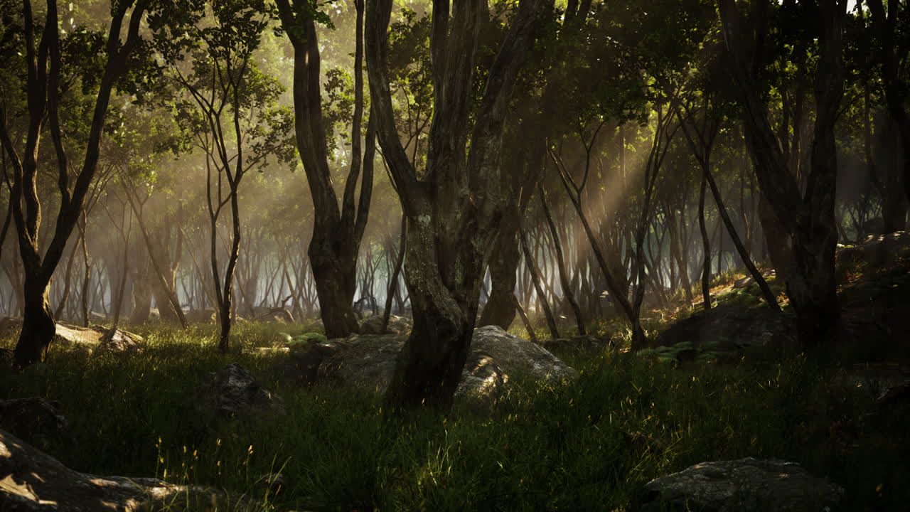 profunda jungla tropical en la oscuridad