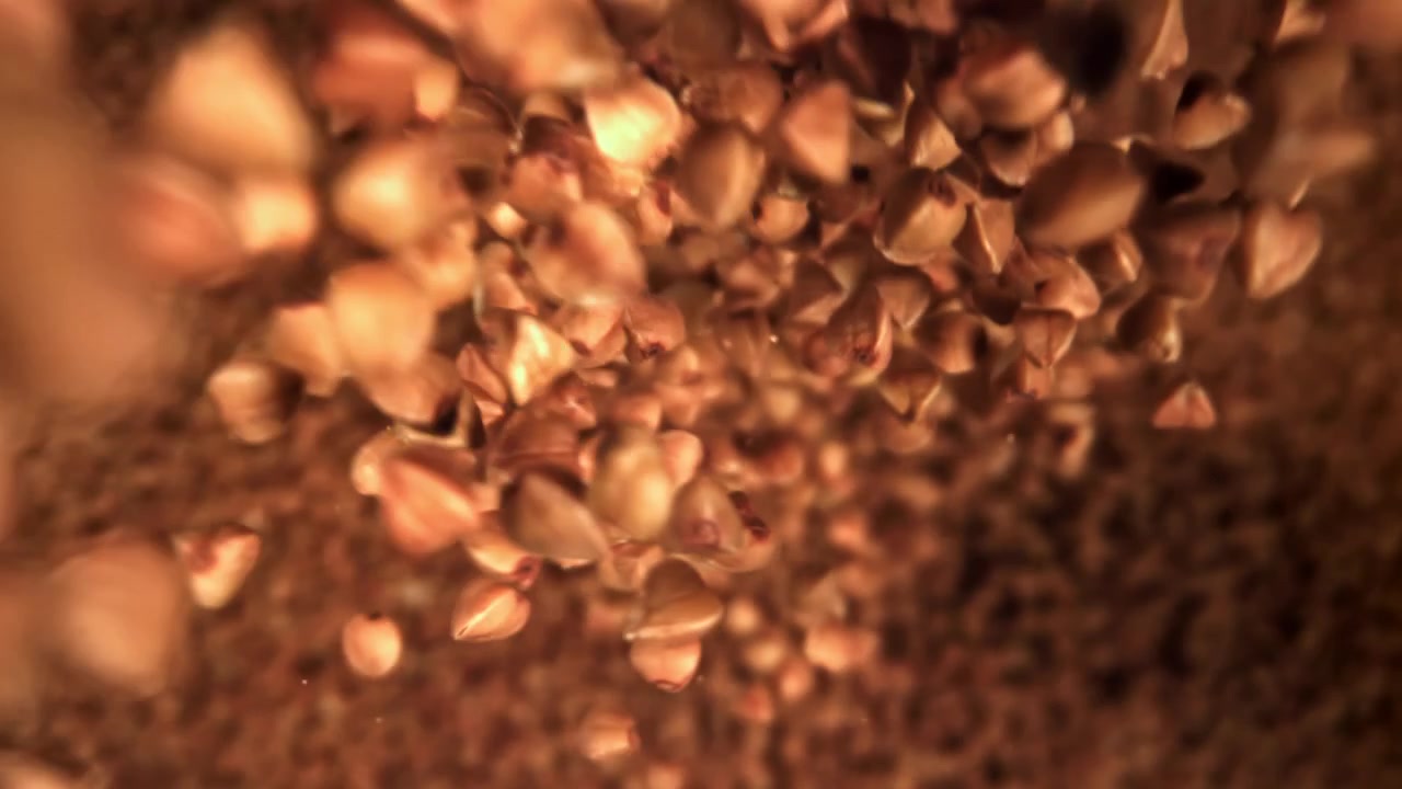 Primo piano al rallentatore di chicchi di grano saraceno che cadono