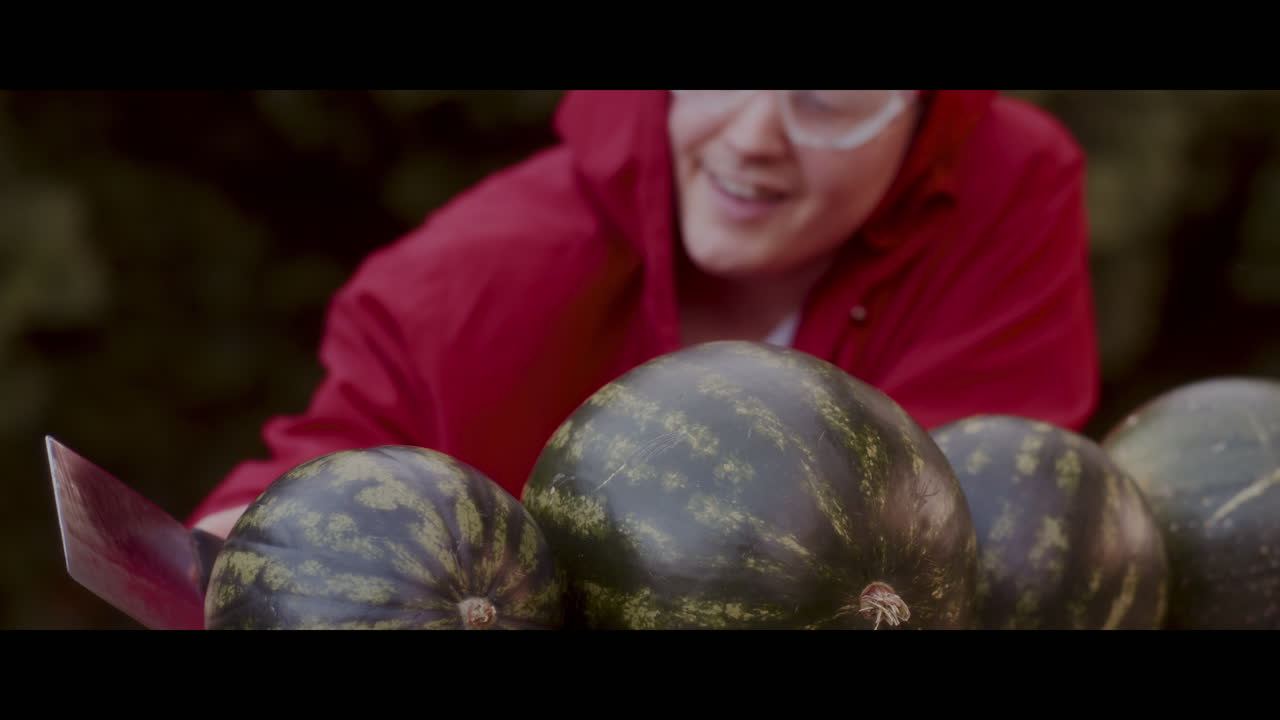 Person examining watermelons wearing safety glasses