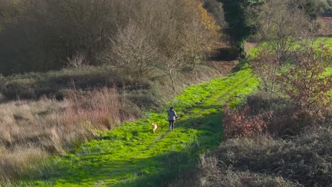 Mujer-Caminando-Con-Su-Perro-Mascota-Por-Senderos-Verdes-En-El-Parque-Forestal