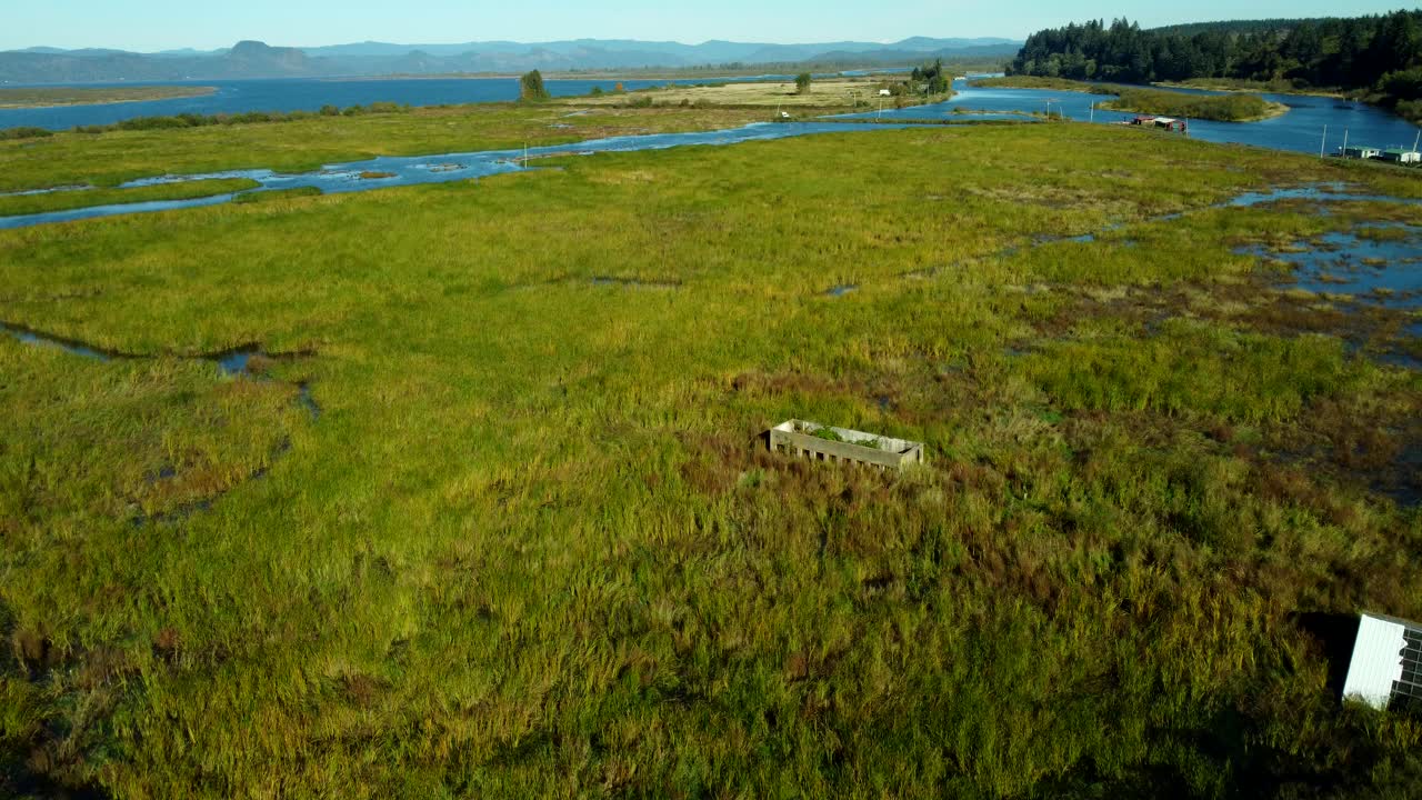 US, OR, Svenson, 2025-10-21 - Drone view of sunken and abandoned housees on an offshoot of the Columbia River near Astoria, Oregon in Fall
