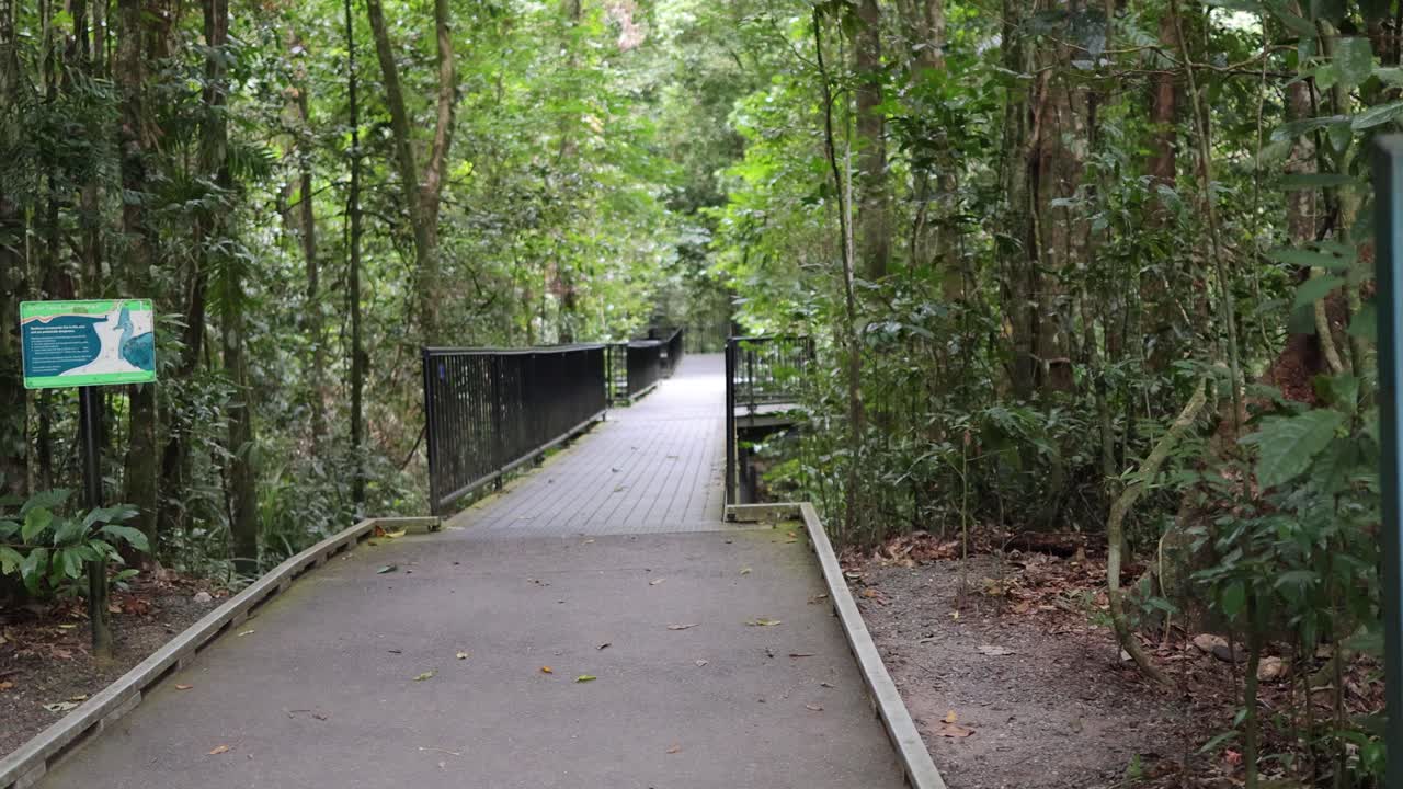A forest pathway with warning signs and lush greenery, captured in natural lighting