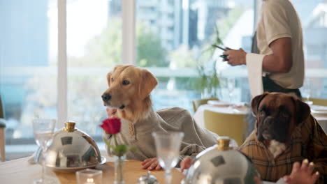 dog dining at restaurant with waiter service