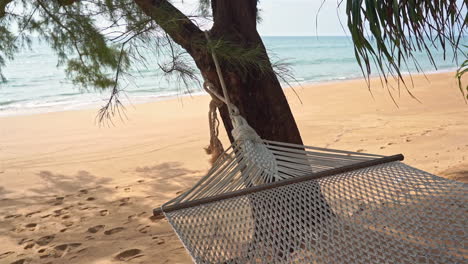 a rope hammock strung between trees above a golden sandy beach as rocks gently as the ocean waves roll in