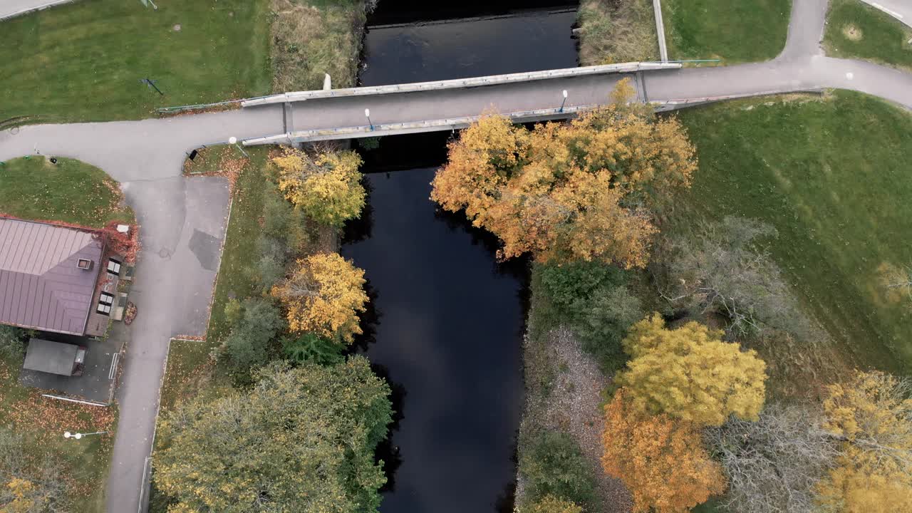 vista aérea de un río rodeado de hermosos árboles coloridos de otoño sobre una carretera