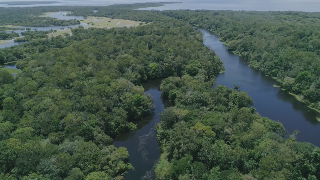 아마존 강의 지류인 아마존 숲에 있는 강의 공중 촬영