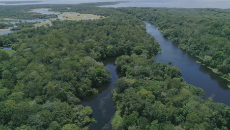 toma aérea de un río en la selva amazónica, un afluente del río amazonas.