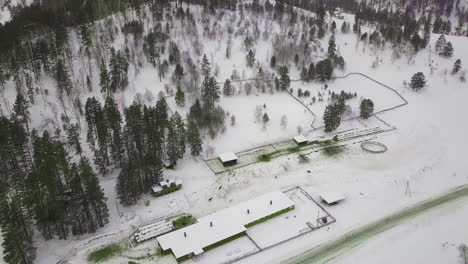 Los-árboles-Coníferos-Con-Ramas-Nevadas-Crecen-Cerca-De-Casas-Pequeñas.