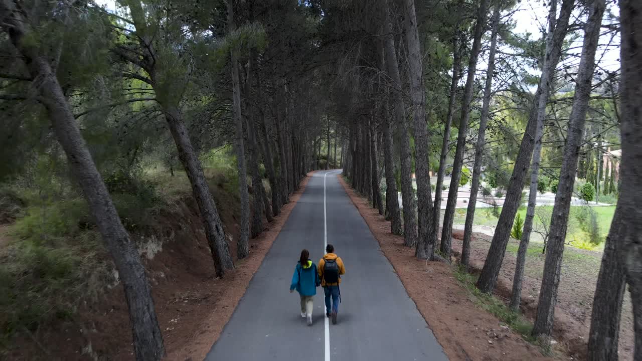 Couple Hiking Through a Pine Tree Tunnel