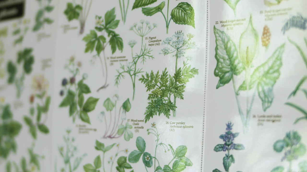 꽃과 식물이 있는 과학 및 환경 책 페이지의 클로즈업