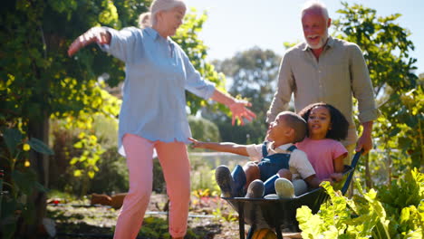 grandchildren pushed in barrow by grandparents working in vegetable garden or allotment