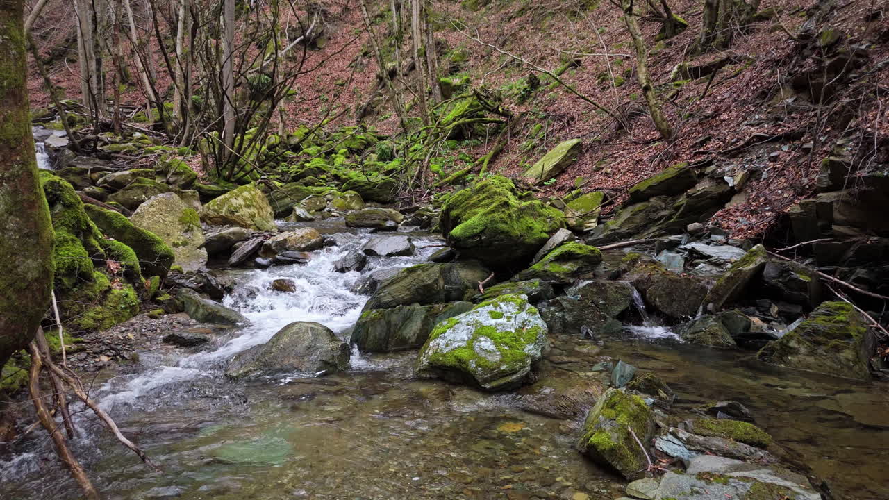 Mountain creek flowing through mossy rocks in a serene forest, early spring vibe