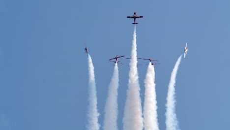 incredible snowbirds aerial demonstration team at airshow slomo