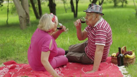 Family-weekend-picnic-in-park.-Senior-old-couple-sit-on-blanket-and-drink-wine.-Making-a-kiss.-Love