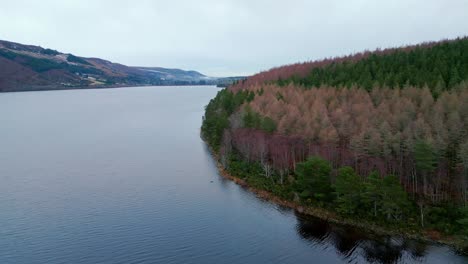 Vista-Aérea-Del-Bosque-En-La-Orilla-Del-Gran-Lago