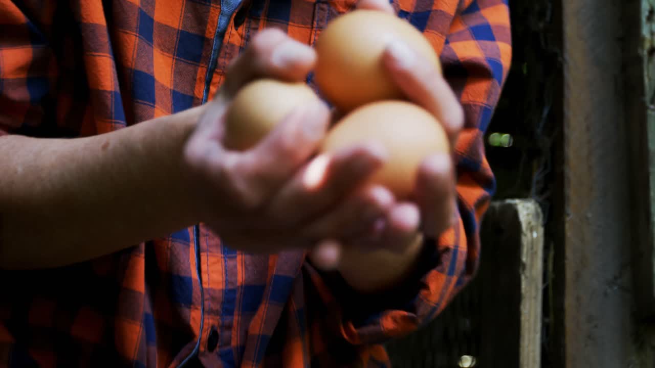 mujer sosteniendo huevos marrones en la pluma 4k
