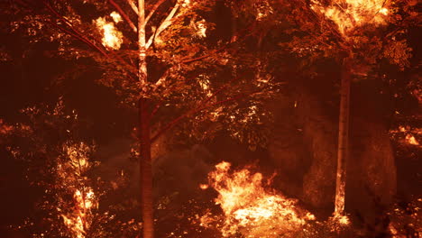 large flames of forest fire at night