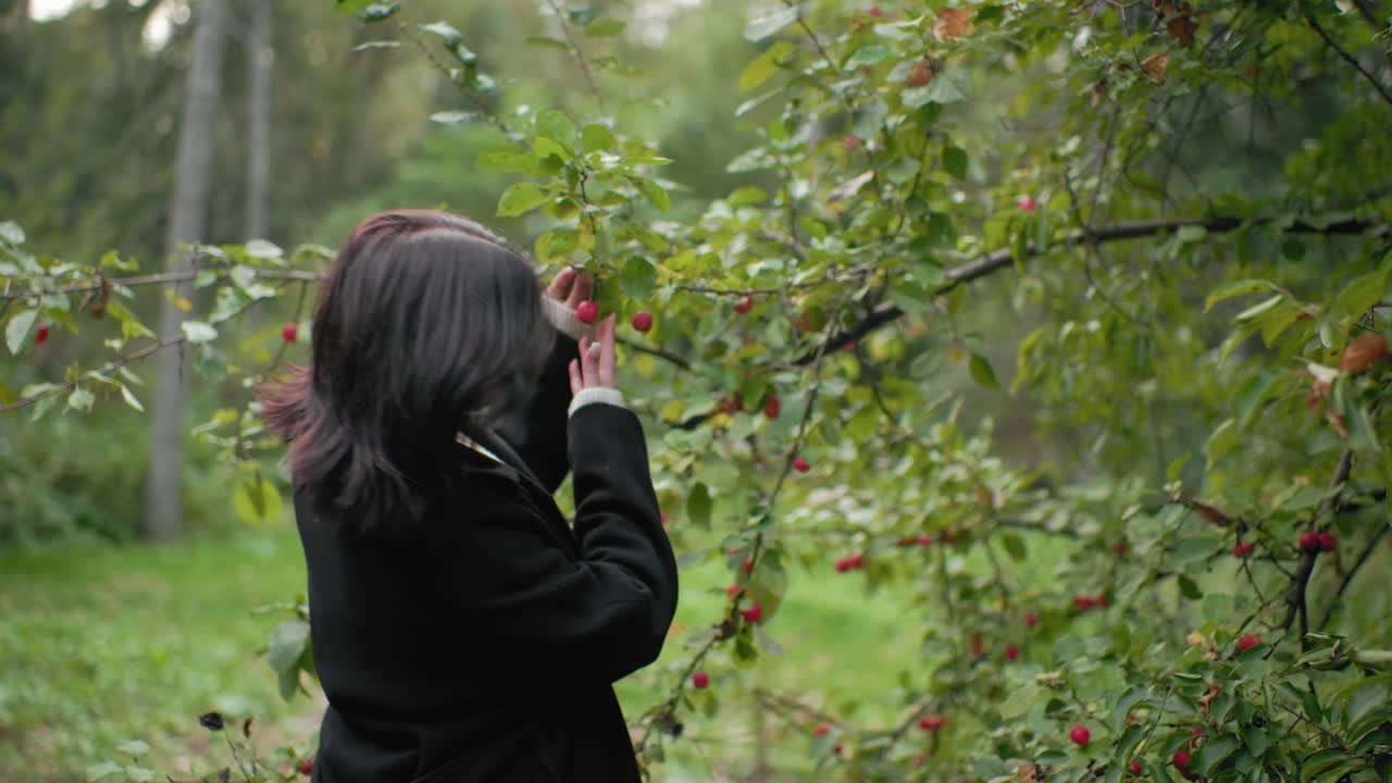 매력적인 여성이 빨간 열매가 달린 가지에 다가가 손을 뻗어 부드럽게 열매를 만지고, 은은한 숲 배경, 푸른 잎, 차분한 가을 분위기, 자연과의 호기심과 교감, 느린 걸음