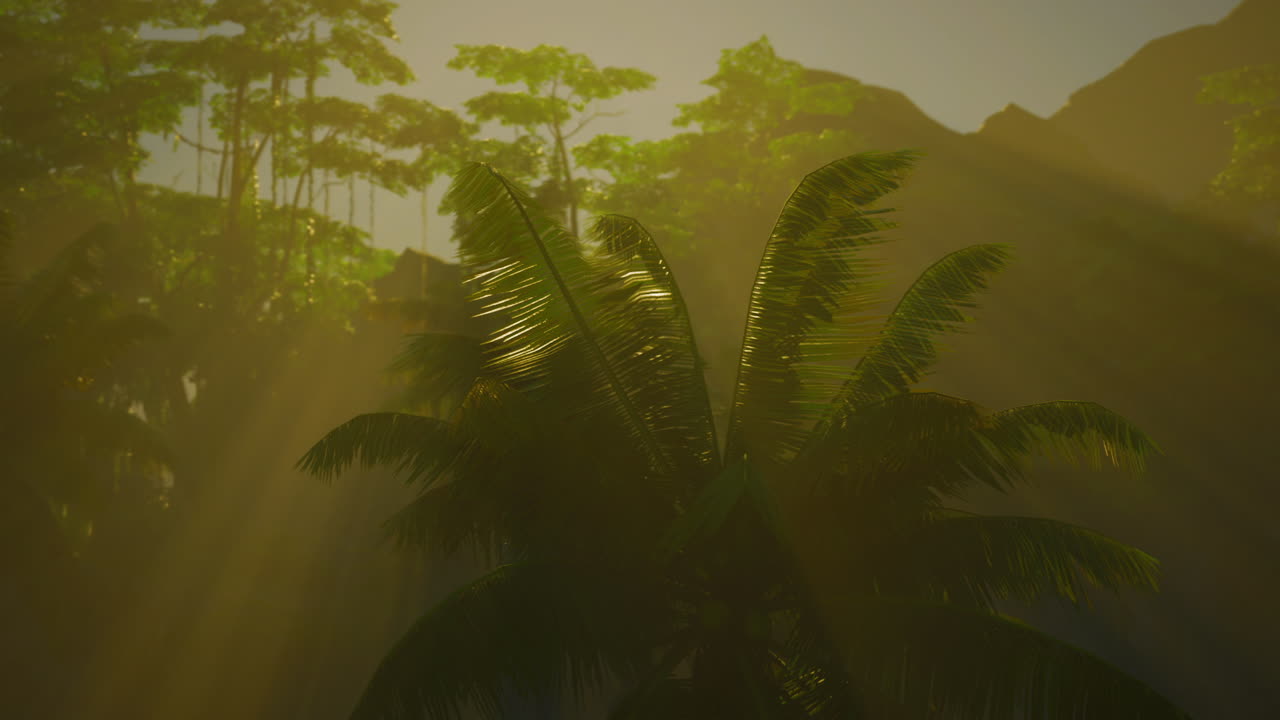 el sol brillando a través de los árboles en la jungla