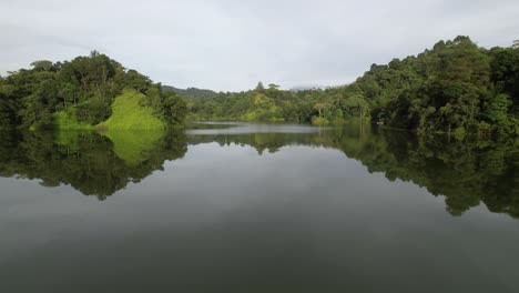 cinematic aerial view over green forest jungle lagoon and reflection of trees