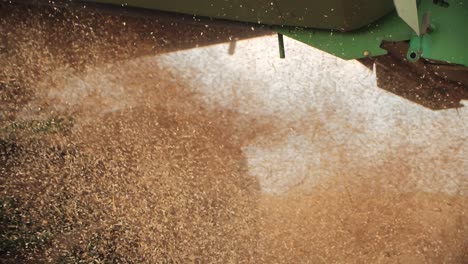 fine dust and chopped straws floating in the air behind combine harvester