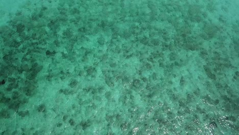 drone shot , view from above to the sea level and waves moving water