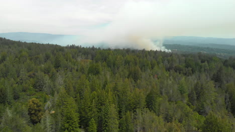 tobogán aéreo de humo del incendio forestal