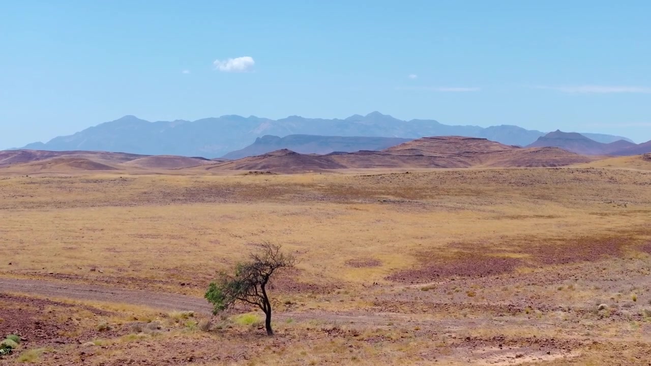 Vista de drone de planícies desérticas douradas com manchas de grama vermelha e uma linha de colinas em Damaralândia. Árvores esparsas e grama seca estendem-se pelas vastas planícies áridas em direção a distantes montanhas de mesa azuis.