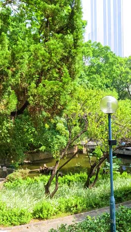 lush greenery and pathways in hong kong park
