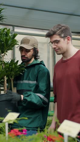 two men looking at plants in a greenhouse