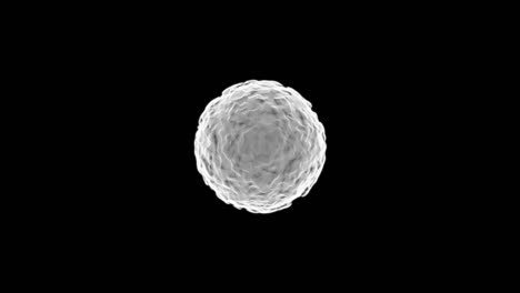 Seamless loop Abstract white glowing sphere particles wavy shape. Isolated Motion black background.