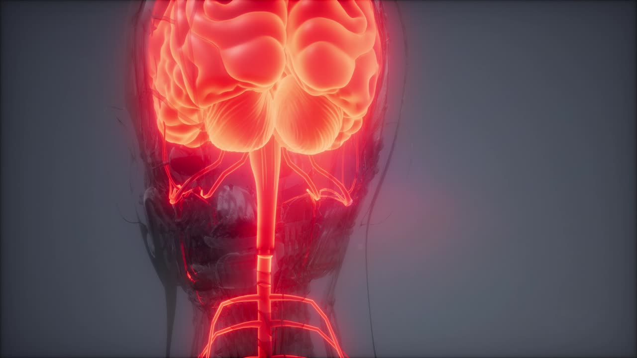 Esame radiologico del cervello umano