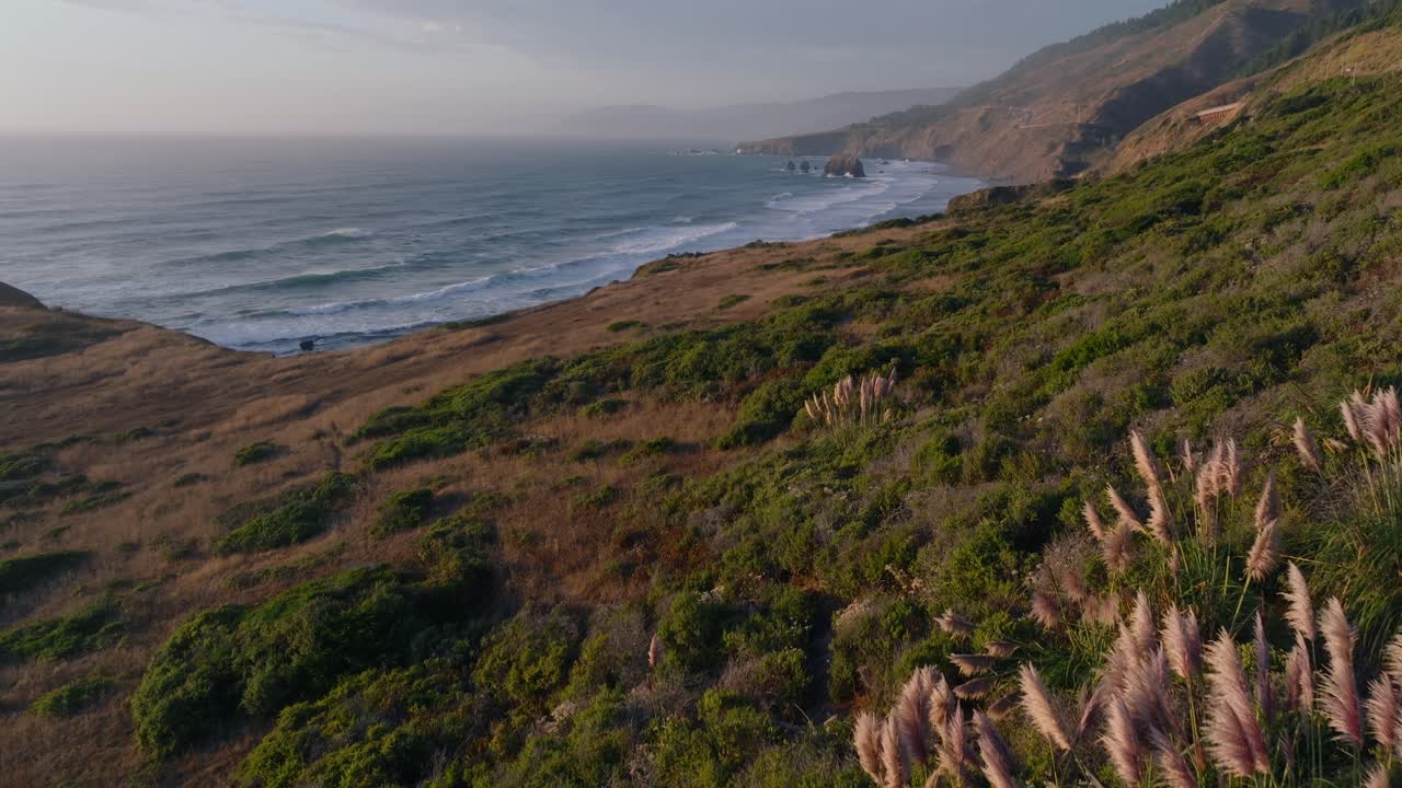 Sunny California coast with grassy hills and ocean views during sunset
