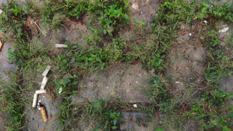 Cigarette-butts-lying-on-the-ground-with-some-pavement-and-grass