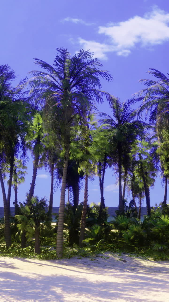 Palm trees line a serene beach under bright blue skies at midday