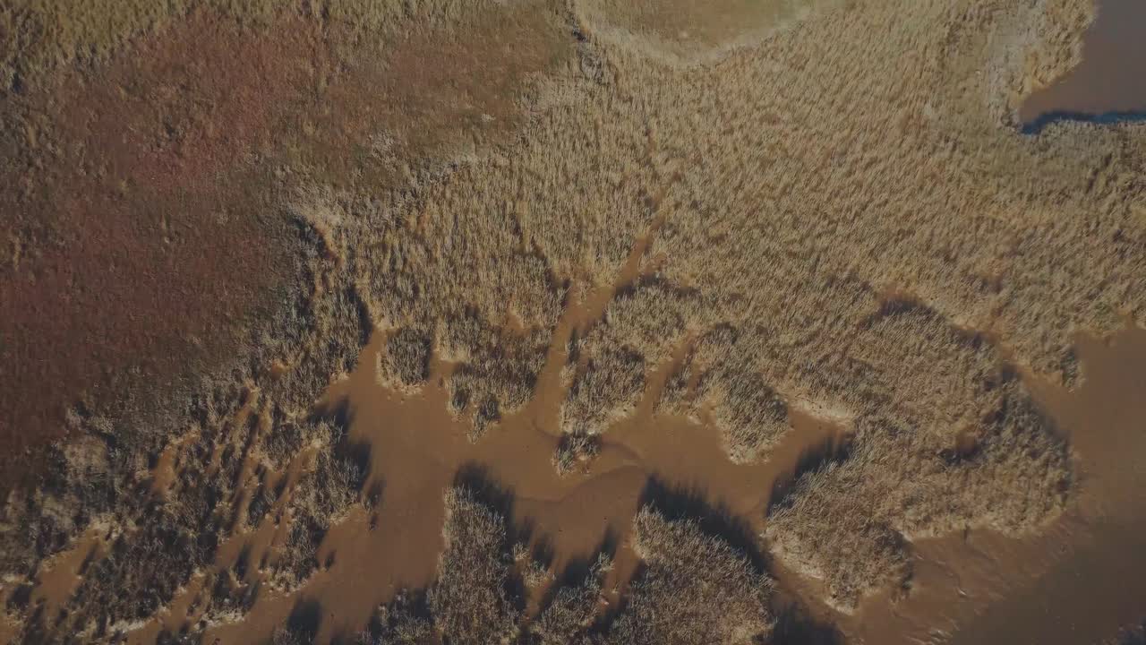 las venas del río serpenteante pasan a través de la antena basculante de marismas