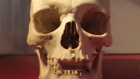 la humanidad después de la muerte