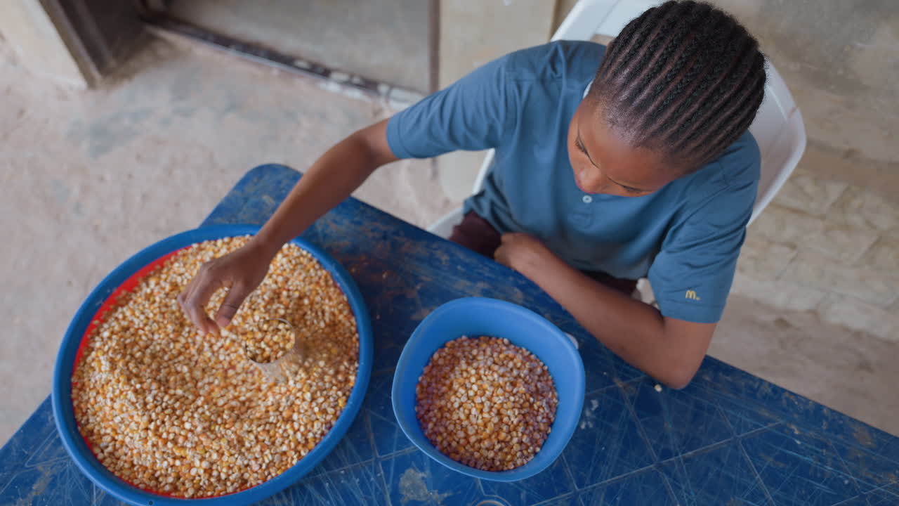 Black teenager sorting maize in house, aerial view of blue basins filled with kernels, scooping and separating with steady hand, methodical rhythm on tiled floor, family helper scene, natural daylight