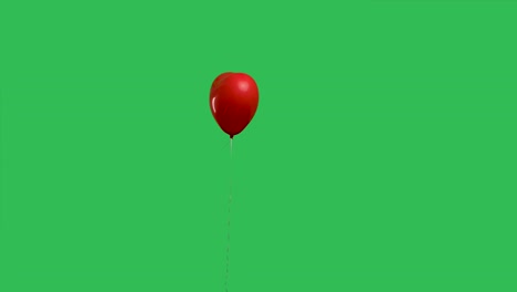 red heart shaped balloon hanging in air and then falls down against background of green screen chroma key. balloon as an expression of feelings and love. valentines day. slow motion